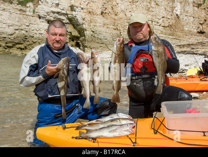 Kajak Fischer mit Fang von Kabeljau, Yorkshire, Großbritannien Stockfoto