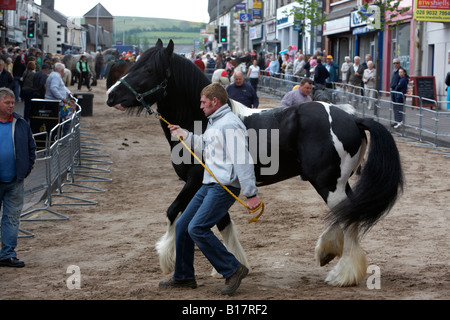 Mann ein Pferd über Sand bedeckten Hauptstraße führt, während das Pferd fair auf die Hennef kann fair Stockfoto