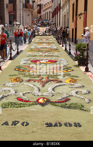 Straße mit Alfombra (Teppich) von Blumen im Rahmen von Fronleichnam feiern in La Orotava auf Teneriffa eingerichtet. Mai 2008 Stockfoto