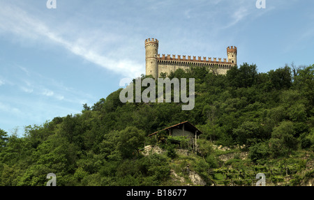 Italien, Piemont, Turin, Schloss Montalto und Weinberge. Stockfoto