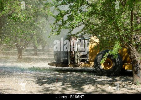 Anwendung der Nährstoff Blattsprühmittel eine Mandel Obstgarten-Frühjahr 2008 Stockfoto