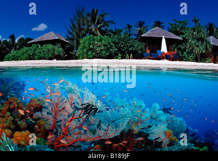 Korallenriff und Insel digitale Komposition Stockfoto