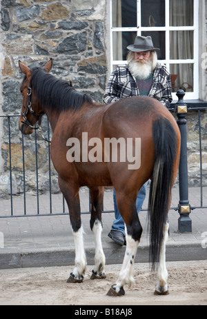 alten bärtiger Mann Hut Blick auf ein Pferd während der Pferdemesse an der Hennef kann fair Stockfoto