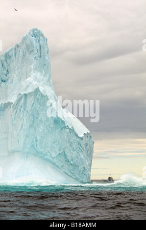 Walbeobachtung, Ausflugsschiff, Eisberg, Witless Bay Ecological Reserve, Neufundland, Kanada Stockfoto