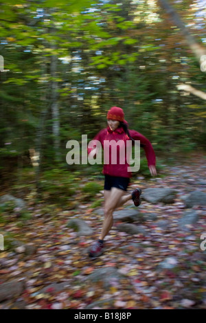 Eine junge Frau läuft auf einem wunderschön farbigen Teppich von Blättern in Welsford, New Brunswick, Kanada. Stockfoto