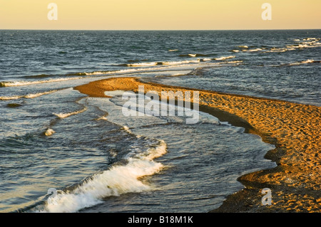 Sand spucken am Lake Erie Ende des Point-Pelee-Nationalpark im südwestlichen Ontario Marken die südlichste Spitze des Festlands Canad Stockfoto