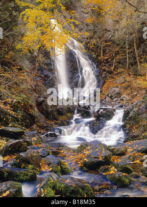 Dritte Vault fällt, Fundy National Park, New Brunswick, Kanada Stockfoto