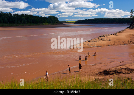 Familie Baden in den trüben Gewässern des Flusses Shubenacadie im Süden Maitland, Landstraße 236, Fundy Shore Ecotour Glooscap Trail Stockfoto