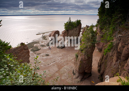 Blumentopf-Felsen, Hopewell Rocks, Hopewell Cape, Shepody Bay, Chignecto Bay, Bay Of Fundy, Albert, Highway 114, Fundy Küste Dri Stockfoto