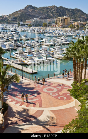 Zeigen Sie mit Blick auf Yachthafen Cabo San Lucas, Cabo San Lucas, Baja, Mexiko an Stockfoto