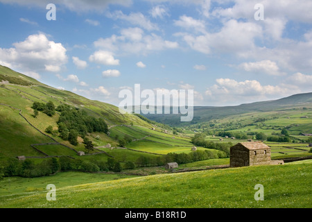 Die markante und berühmte Scheunen von Swaledale zu wiederholen, in die Ferne in den Feldern in der Nähe von Keld, Yorkshire Dales Stockfoto