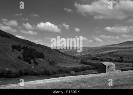 Die markante und berühmte Scheunen von Swaledale zu wiederholen, in die Ferne in den Feldern in der Nähe von Keld, Yorkshire Dales Stockfoto