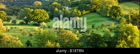 Landschaft in der Nähe von Withypool in Exmoor Nationalpark Somerset England Stockfoto