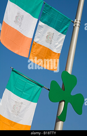 Irische Fahnen und Shamrock, Montana Irish Festival, Butte, Montana, USA Stockfoto