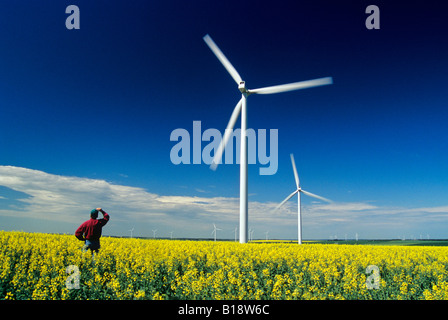 ein Bauer blickt auf Windkraftanlagen in Raps Feld in der Nähe von St. Leon, Manitoba, Kanada. Stockfoto