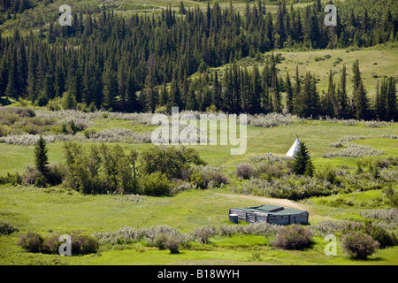 Salomos Trading Post (Standort des Masacre in der Nähe von Fort Walsh), Cypress Hills, Saskatchewan, Kanada. Stockfoto