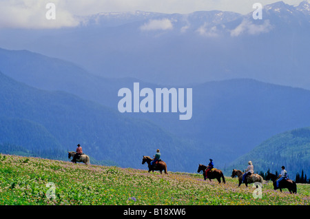 Wanderreiten in den Cariboo Mountains, British Columbia, Kanada. Stockfoto