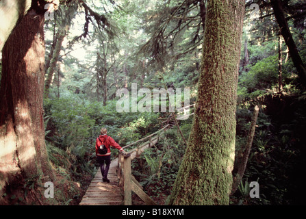 20 jährige junge Frau, die zu Fuß auf der Promenade durch den Wald in Richtung Strand, Schoner Bay, Vancouver Island, British C Stockfoto