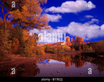 Mit den rötlichen Kathedrale Felsen im Hintergrund spiegelt ein perfekter Herbsttag in Oak Creek in der Nähe von Sedona, Arizona Stockfoto