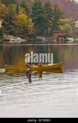 Junger Mann mit Hund auf Habichtsbitterkraut See Kanu fahren im Herbst, Mukoka, Ontario, Kanada. Stockfoto