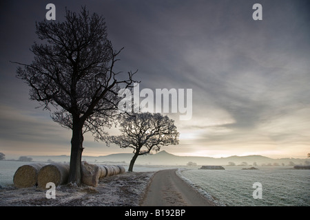 Nähe Richtfest am frostigen und nebligen Morgen von Morton Carr Cleveland Englands Stockfoto