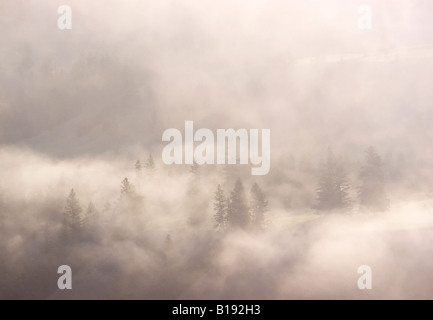 Nebel bei Sonnenaufgang über die Hügel in der Nähe von Slocan See, Kootenay Country, Britisch-Kolumbien, Kanada. Stockfoto