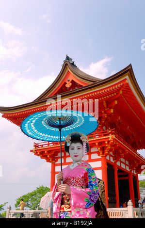 Maiko Lehrling Geisha mit Sonnenschirm am Kiyomizu Tempel Kyoto Japan Stockfoto