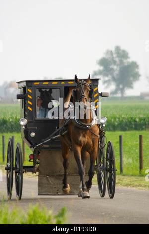 ILLINOIS Arthur zwei Amish-Männer fahren in geschlossenen Buggy zog mit dem Pferd unterwegs Stockfoto