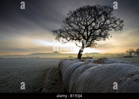 Nähe Richtfest am frostigen und nebligen Morgen von Morton Carr Cleveland Englands Stockfoto