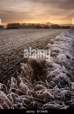 Nähe Richtfest am frostigen und nebligen Morgen von Morton Wohnungen Cleveland Englands Stockfoto