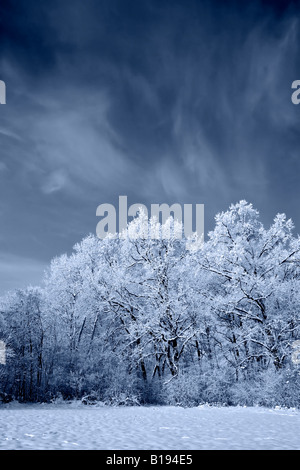 Infrarot-Landschaft mit einem stürmischen wind Stockfoto