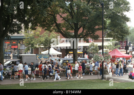 WISCONSIN-Madison-Bauernmarkt am Capitol Square Anbieter Ständen auf Bürgersteig Linie der Menschen gehen vorbei Stockfoto