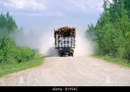 Protokollierung-LKW in Nord-Alberta bringen eine Last von Nadelholz, ein Zellstoff- und Papierfabrik, Hinton, Alberta, Kanada Stockfoto