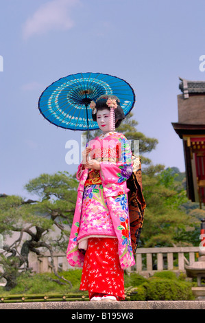 Maiko Lehrling Geisha mit Sonnenschirm am Kiyomizu Tempel Kyoto Japan Stockfoto