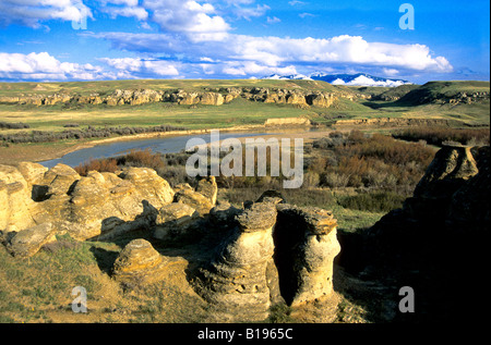 Die Hoodoos und Badlands entlang den Milk River in Writing-On-Stone Provincial Park, Süd-Alberta, Kanada. Stockfoto