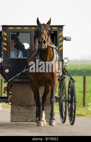 ILLINOIS Arthur zwei Amish-Männer fahren in geschlossenen Buggy zog mit dem Pferd unterwegs Stockfoto
