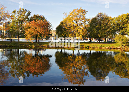 MASSACHUSETTS Boston Reflexion von Herbstlaub im Wasser entlang der Esplanade Greenway entlang Charles River basin Stockfoto