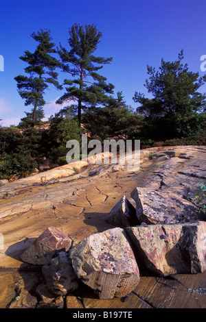 Granit-Fundament des kanadischen Schildes und Pinien, Felchen fällt nördlich von Manitoulin Island, Georgian Bay, Lake Huron, auf Stockfoto