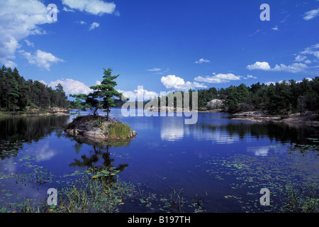 Kleine Insel, Whitefish Falls, nördlich von Manitoulin Insel, Georgian Bay, Huron-See, Ontario, Kanada Stockfoto