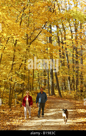 ILLINOIS Wright Wald Wald helle gelbe Blätter auf Ahornbäume im Wald Erholung Trail durch Wald zwei Personen gehen weg Stockfoto