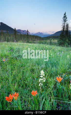 Nahen See, Bow Valley Provincial Park, Kananaskis Country, Alberta, Kanada Stockfoto