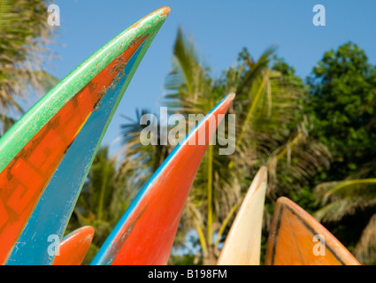 Indonesien Bali Island Kuta Strand surfen schließen sich der Surfbretter mit Palm in Bkgd verlässt Stockfoto