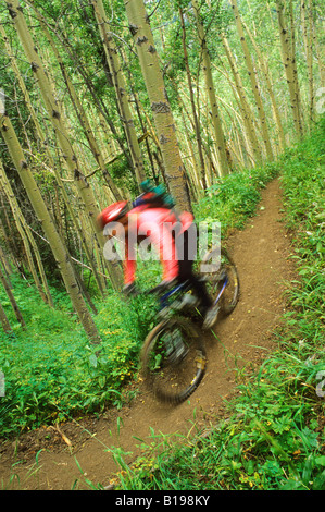 Mountainbiker Fahrten Gun Creek Trail von Spruce Lake, südlichen Chilcotin Mountains, British Columbia, Kanada. Stockfoto