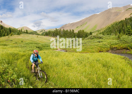 Mountainbiker fährt nach unten vom Windy Pass, südlichen Chilcotin Mountains, British Columbia, Kanada. Stockfoto