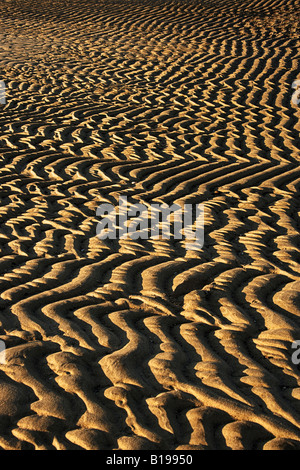 Wellen im Sand am Strand, erste Begegnung Strand, Eastham, Cape Cod, Massachusetts, USA Stockfoto