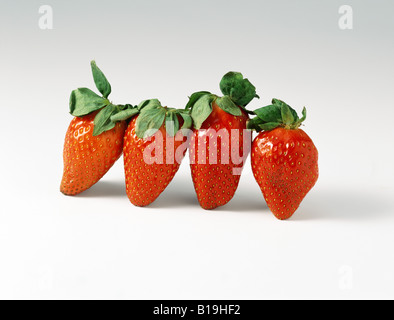 Gariguette-Erdbeeren Stockfoto