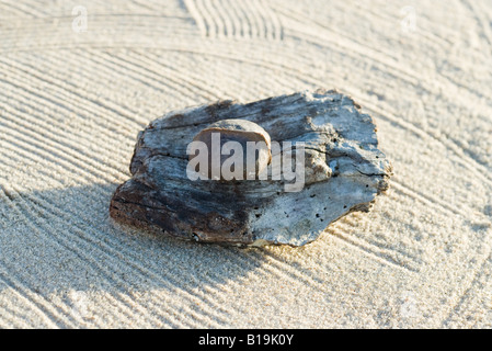 Kies- und Treibholz auf geharkt sand Stockfoto