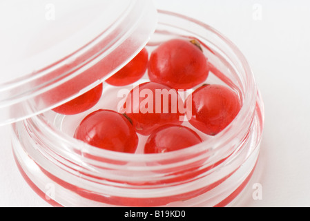 Rote Johannisbeeren in kleinen kosmetischen Behälter, Nahaufnahme Stockfoto