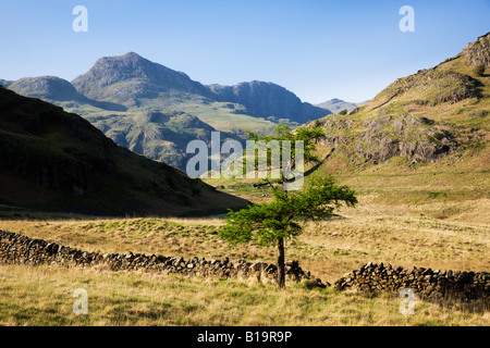 Die "Langdale Pikes" sehen In der Ferne als angesehen von Blea Tarn, der "Lake District" Cumbria England UK Stockfoto