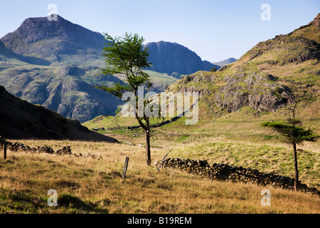 Die "Langdale Pikes" sehen In der Ferne als angesehen von Blea Tarn, der "Lake District" Cumbria England UK Stockfoto